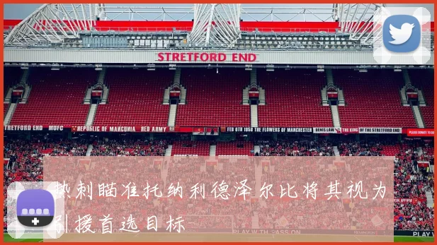 热刺瞄准托纳利德泽尔比将其视为引援首选目标